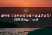 蘑菇影视官网清理存储空间体验变差？原因很可能在这里