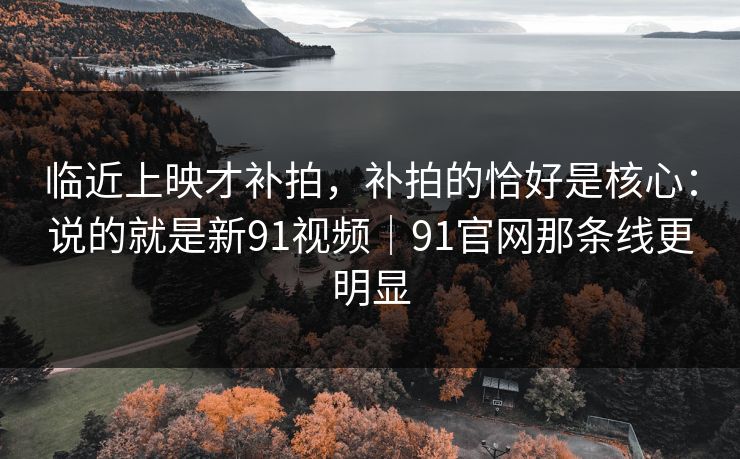 临近上映才补拍，补拍的恰好是核心：说的就是新91视频｜91官网那条线更明显