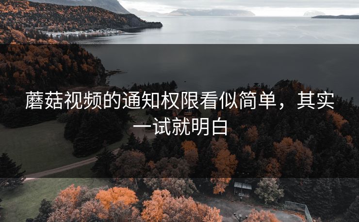 蘑菇视频的通知权限看似简单，其实一试就明白