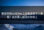 蘑菇视频ios在Mac上加载速度怎么更稳？这份懒人路线你用得上
