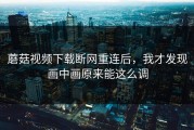 蘑菇视频下载断网重连后，我才发现画中画原来能这么调