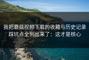 我把蘑菇视频下载的收藏与历史记录踩坑点全列出来了：这才是核心