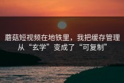 蘑菇短视频在地铁里，我把缓存管理从“玄学”变成了“可复制”