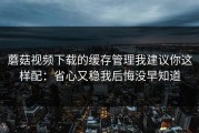 蘑菇视频下载的缓存管理我建议你这样配：省心又稳我后悔没早知道