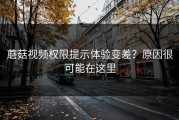 蘑菇视频权限提示体验变差？原因很可能在这里