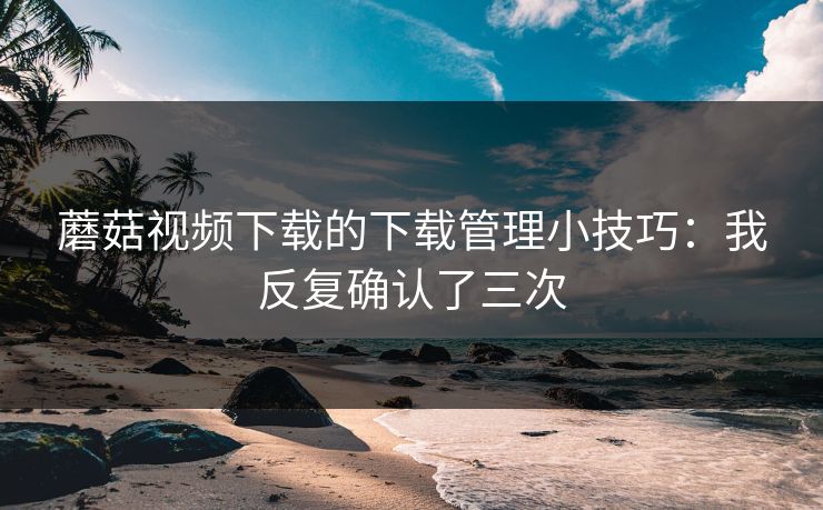 蘑菇视频下载的下载管理小技巧：我反复确认了三次