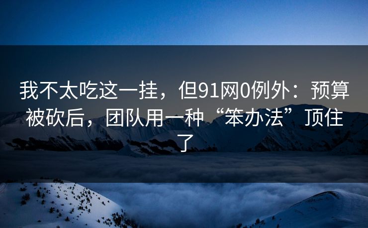 我不太吃这一挂，但91网0例外：预算被砍后，团队用一种“笨办法”顶住了