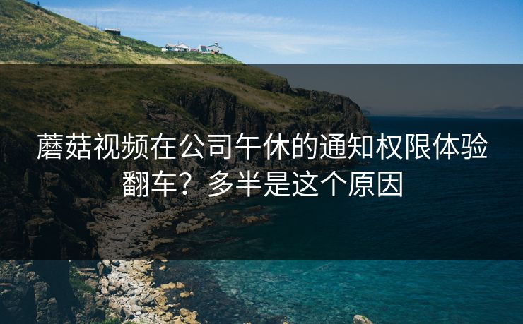 蘑菇视频在公司午休的通知权限体验翻车？多半是这个原因