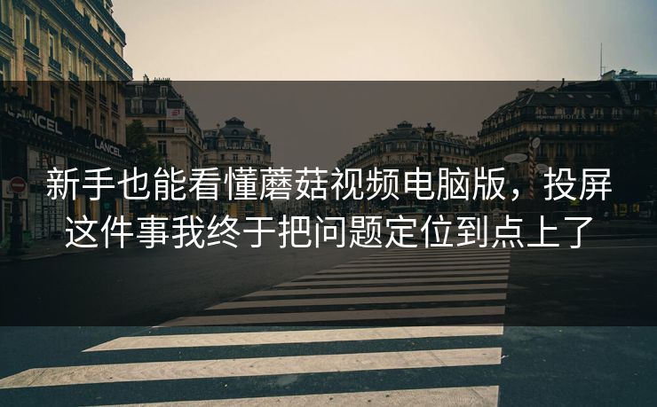新手也能看懂蘑菇视频电脑版，投屏这件事我终于把问题定位到点上了