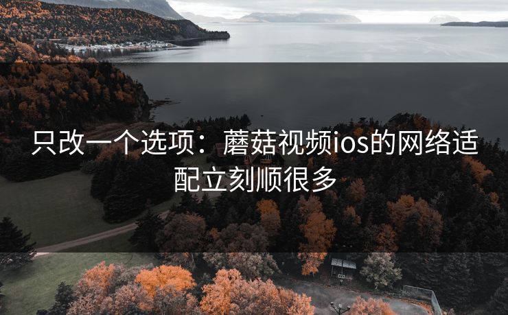 只改一个选项：蘑菇视频ios的网络适配立刻顺很多