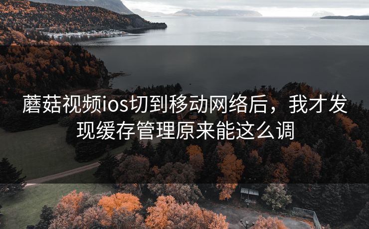 蘑菇视频ios切到移动网络后,我才发现缓存管理原来能这么调 蘑菇视频ios切到移动网络后,我才发现缓存管理原来能这么调