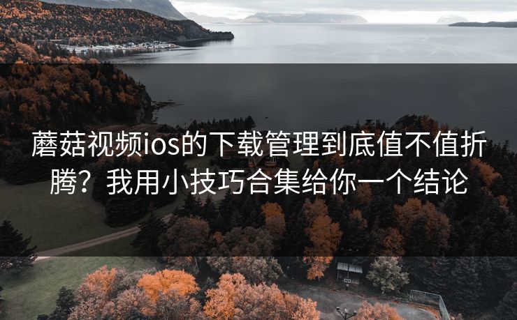 蘑菇视频ios的下载管理到底值不值折腾?我用小技巧合集给你一个结论 蘑菇视频ios的下载管理到底值不值折腾?我用小技巧合集给你一个结论