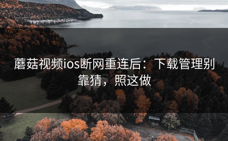 蘑菇视频ios断网重连后：下载管理别靠猜，照这做