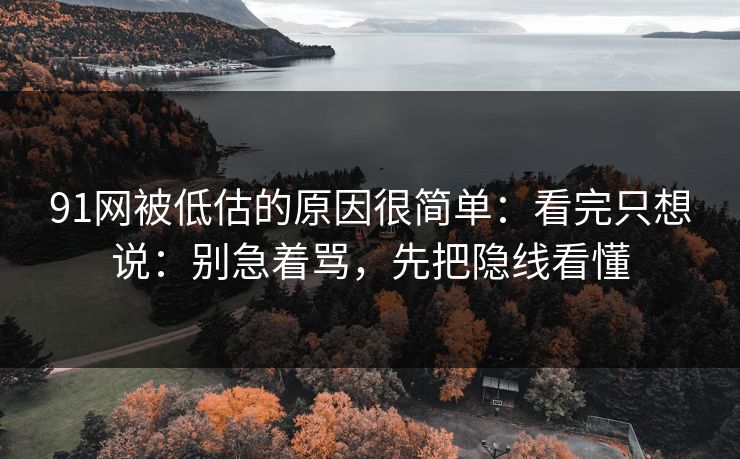 91网被低估的原因很简单：看完只想说：别急着骂，先把隐线看懂