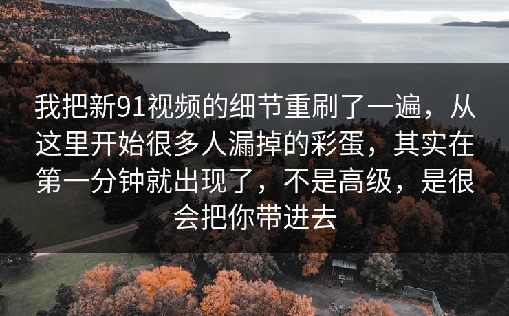 我把新91视频的细节重刷了一遍，从这里开始很多人漏掉的彩蛋，其实在第一分钟就出现了，不是高级，是很会把你带进去