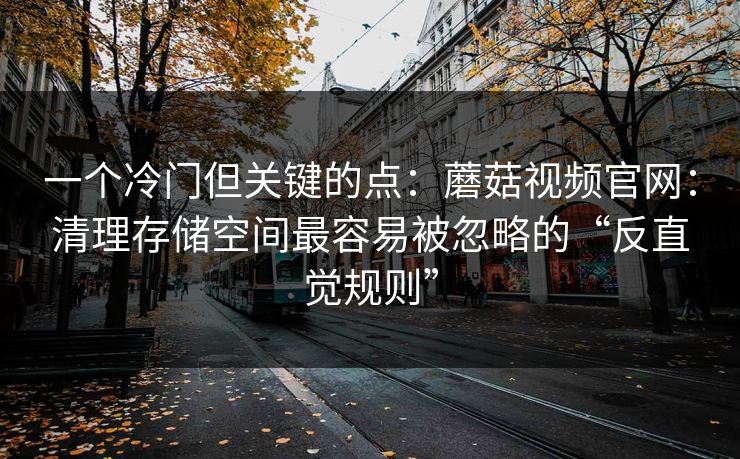 一个冷门但关键的点:蘑菇视频官网:清理存储空间最容易被忽略的“反直觉规则” 一个冷门但关键的点:蘑菇视频官网:清理存储空间最容易被忽略的“反直觉规则”