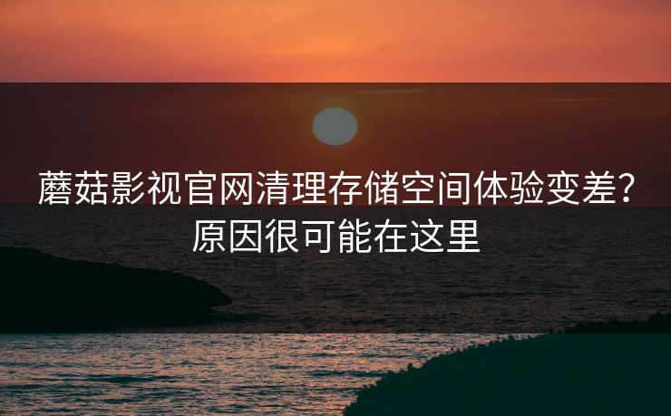 蘑菇影视官网清理存储空间体验变差？原因很可能在这里